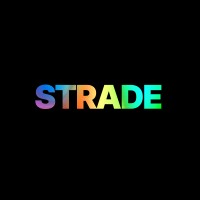Strade Custom logo - Similar company to Strade World