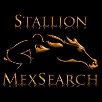 Stallionmexsearch