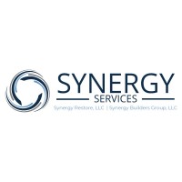 Synergy Services logo - Similar company to Virtual Vision Computing, Llc