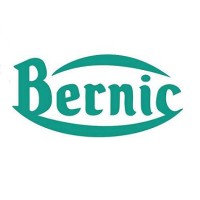 Bernic logo - Similar company to Nubiz A/S