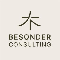 Besonder Consulting logo - Similar company to Ark Connect