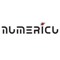 {numericu} logo - Similar company to Shiver