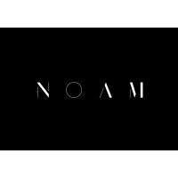 Studio Noam logo - Similar company to Peter Mikic Studio