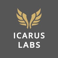 Icarus Labs logo - Similar company to Integrity Healthcare It Solutions, Llc