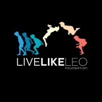 Live Like Leo Foundation logo - Similar company to Nonprofit Nerd®