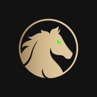Stallion Uranium logo - Similar company to Big Red Mining