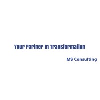 Ms Consulting Global