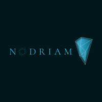 Nodriam logo - Similar company to Alphagrc Consultancy