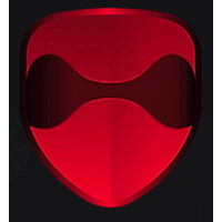 Veritas Cyber Security logo - Similar company to Dal Global Services Inc
