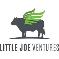 Little Joe Ventures logo - Similar company to Dfg Ventures