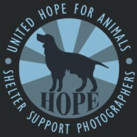United Hope For Animals