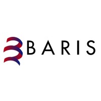 Baris srl logo - Similar company to Labse