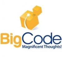 BigCode Games Private Limited logo - Similar company to Mag Game Studio