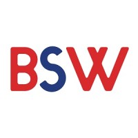 Brandscapes Worldwide logo - Similar company to Datastring Consulting