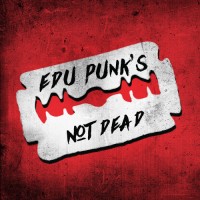 EDUpunk logo - Similar company to Changing Tune