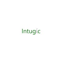 Intugic Capital Management logo - Similar company to Uefinsights