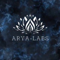 AryaLabs(Pvt)Ltd logo - Similar company to Astakon Labs