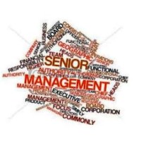 Senior Management Assistance logo - Similar company to Redyadmin Assistant