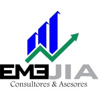 EMEJIA CONSULTORES & ASESORES FINANCIEROS logo - Similar company to Mein Asesores