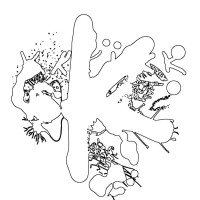 Kaleidoscope Magazine logo - Similar company to Edizioni Zero