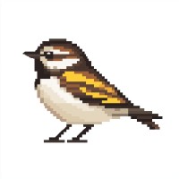 Sparrowise logo - Similar company to Birda