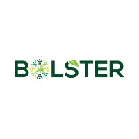 BOLSTER logo - Similar company to Reachable Technology