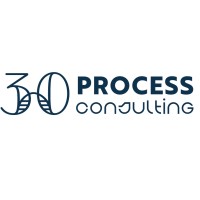 30Process Consulting logo - Similar company to Dbamart, Corp