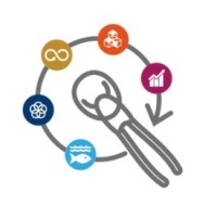 Congreso Nacional de Caligidosis logo - Similar company to Centro I~Mar