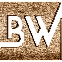 Boracchia Wiviott Wealth Partners, LLC logo - Similar company to Wealth Partners Real Estate