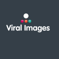 Viral Images Bvba