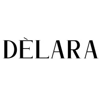 DELARA AGENCY logo - Similar company to Techsu
