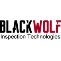 BlackWolf Technologies Inc logo - Similar company to The It Solutions