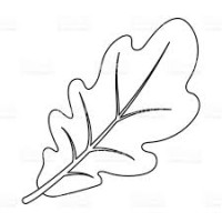 Market Maker Capital logo - Similar company to Aara Advisors