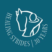 Healing Strides logo - Similar company to Calm Source