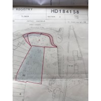 Intangability Ltd