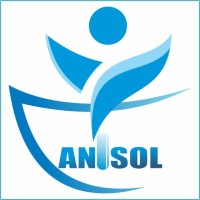 Anisol Pharmacy & Stores logo - Similar company to Nard Pharmacy & Stores Ltd