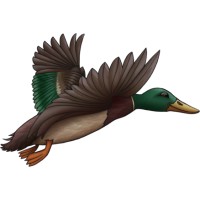 Dušan Pejčić PR Mačkovac logo - Similar company to Aeropak D.O.O.