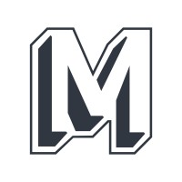 Mirrorlytics logo - Similar company to Blueingreen