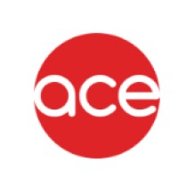 ACE GROUP NIGERIA logo - Similar company to Gain Infinity - Digital Marketing Agency