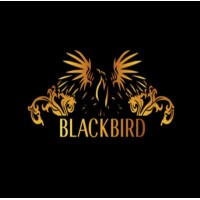 Blackbird Capital & Consulting logo - Similar company to Northcap