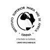 Instituto Superior Maria Mãe de Africa (ISMMA) logo - Similar company to O Cactuu