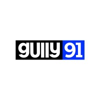 Gully91 logo - Similar company to Probo