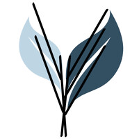 Xyra Consult logo - Similar company to College Connected