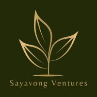 Sayavong Ventures Ab