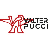 VALTER PUCCI SRL logo - Similar company to Meta Sistemi