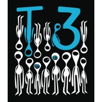 T3 Entertainers LLC logo - Similar company to Discover Camp