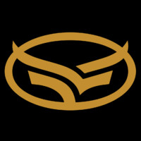 BizonAds logo - Similar company to Furious Ads