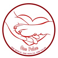 One Pulse logo - Similar company to One Pulse Solutions