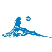 Houston Seafood Company logo - Similar company to The Seafood Platform Llc