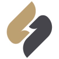 GST Network AG logo - Similar company to Noostrim